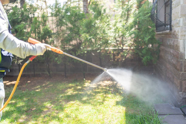 Seasonal Pest Control (e.g., summer mosquitoes, winter rodents) in Silver Lake, OH